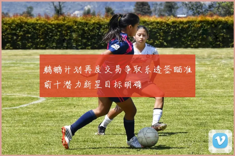 鹈鹕计划再度交易争取乐透签瞄准前十潜力新星目标明确