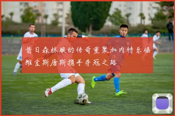 昔日森林狼的传奇重聚加内特乐福维金斯唐斯携手夺冠之路
